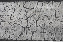 Photo Textures of Asphalt Painted